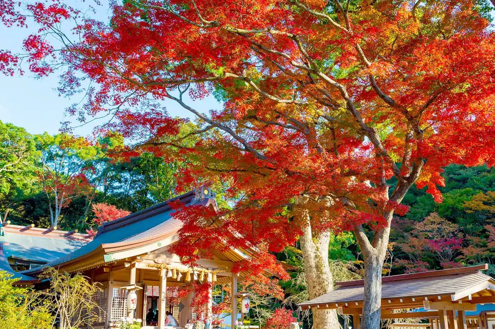 ⛩️ 호만구 카마도 신사 이미지 11